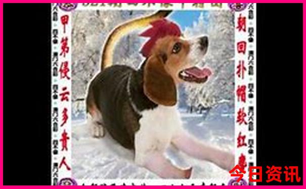 贵安站离贵阳站有多远